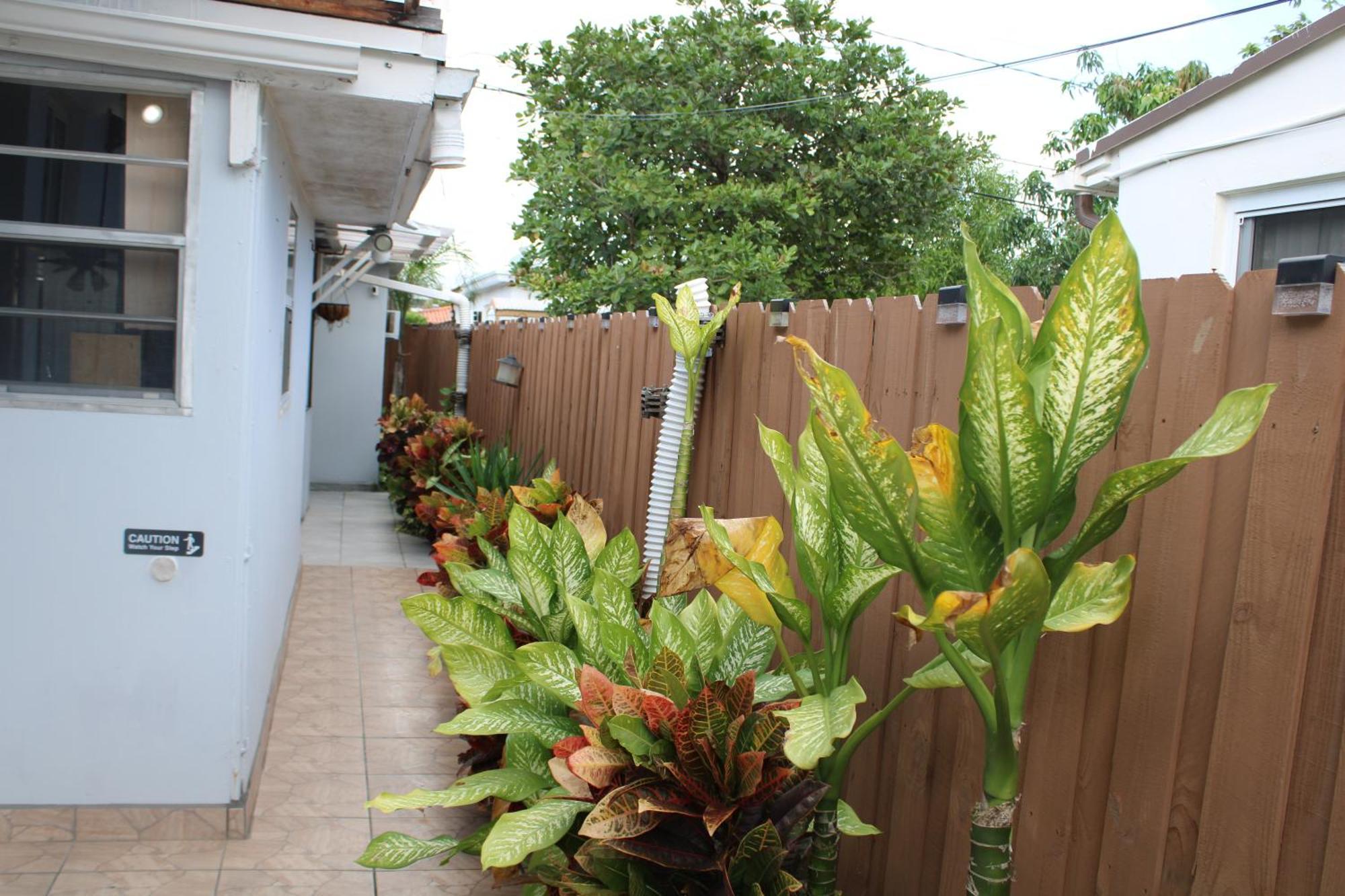 Main House 3 Bed 2 Bath & Guest House 1 Bed 1 Bath Miami Ngoại thất bức ảnh